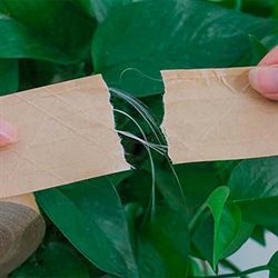 Cinta Adhesiva de Papel Kraft Teoria 48 mm x 45 m
