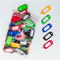 Llavero de Plástico x 100 Colores Surtidos Teoría